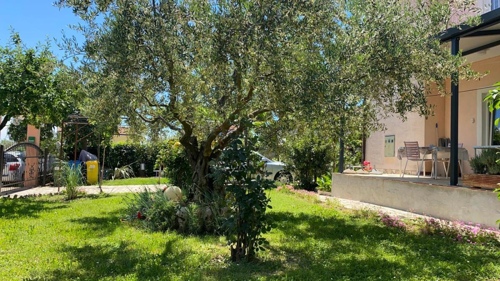 Apartment Gracijana Poreč Exterior foto